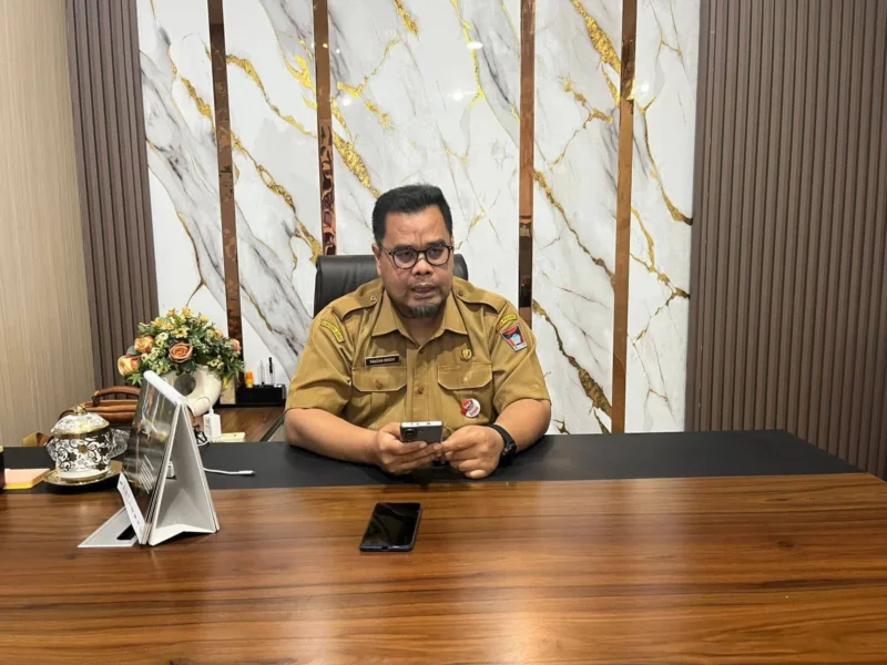 Kepala DPMPTSP Kota Padang, Fauzan Ibnovi. (Foto: Diskominfo Padang)