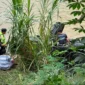 Kondisi mobil Pajero Sport usai tabrakan dengan mobil Ertiga di Jalinsum Sijunjung, Senin (25/5/2026). (Dok: Satlantas Polres Sijunjung)