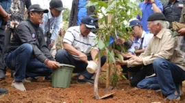 Menteri LH/Kepala BPLH, Moh. Jumhur Hidayat memimpin penanaman 12 ribu pohon di Kampung Papakmanggu, Kecamatan Pasirjambu, Kabupaten Bandung, Minggu (10/5/2026). (Foto: Kementerian LH/BPLH)