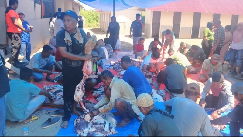 Pelaksanaan pemotongan hewan kurban di Huntara Padang, Rabu (27/6/2026). (Foto: BPBD Padang)