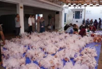 Pemko Padang Panjang membagikan 1.170 kupon daging kurban kepada masyarakat, Rabu (27/5/2026). (Foto: Pemko Padang Panjang)