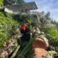 Anggota TRC PB BPBD Padang melakukan pembersihan pohon tumbang di Jalan Sutan Syahrir, Kelurahan Mata Air, Kecamatan Padang Selatan, Kamis (21/5/2026). (Foto: BPBD Padang)