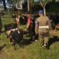 Petugas Satpol PP Padang menertibkan PKL yang berjualan di trotoar dan taman Jalan Khatib Sulaiman, Jumat (29/5/2026) malam. (Foto: Humas Satpol PP Padang)