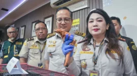 Karantina Banten bersama Bea Cukai serta aparat penegak hukum menggagalkan upaya penyelundupan satwa hidup asal Thailand di Terminal 2 Bandara Internasional Soekarno-Hatta, Jumat (8/5). (Foto: Barantin)