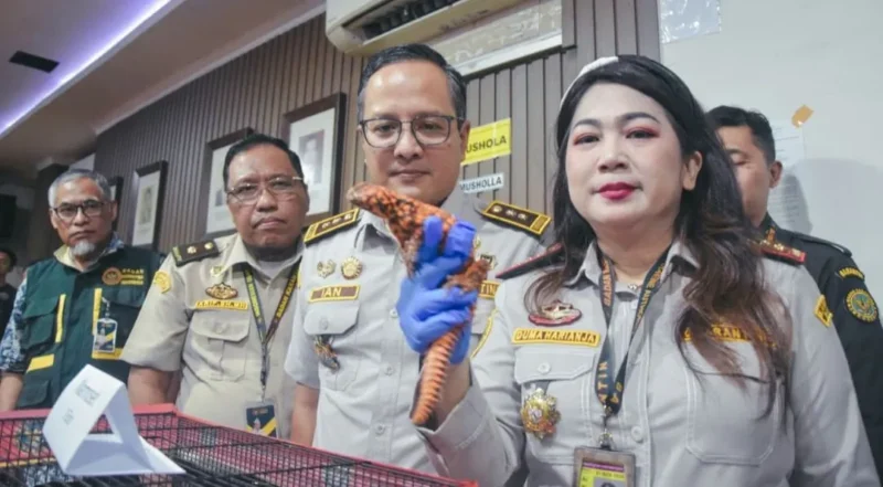 Karantina Banten bersama Bea Cukai serta aparat penegak hukum menggagalkan upaya penyelundupan satwa hidup asal Thailand di Terminal 2 Bandara Internasional Soekarno-Hatta, Jumat (8/5). (Foto: Barantin)