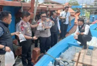 Ditpolairud Polda Sumbar menggagalkan pengiriman sekitar 2.000 ekor ikan hias ilegal dari Kepulauan Mentawai menuju Bali. (Foto: Ist)