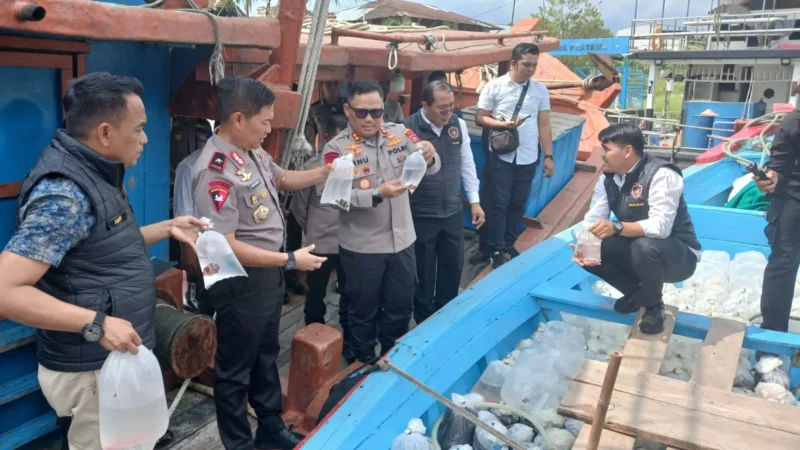 Ditpolairud Polda Sumbar menggagalkan pengiriman sekitar 2.000 ekor ikan hias ilegal dari Kepulauan Mentawai menuju Bali. (Foto: Ist)