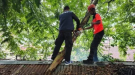 Tim Rescue Penanggulangan Bencana (PB) BPBD Padang mengevakuasi pohon tumbang yang menimpa warung di Alai Parak Kopi, Sabtu (16/5/2026). (Foto: BPBD Padang)