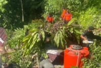 Personil TRC PB BPBD Padang membersihkan material pohon tumbang yang menimpa musala di Jalan Sutan Syahrir, Kelurahan Mata Air, Kecamatan Padang Selatan, Kota Padang, Kamis (21/5/2026). (Foto: BPBD Padang)