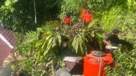 Personil TRC PB BPBD Padang membersihkan material pohon tumbang yang menimpa musala di Jalan Sutan Syahrir, Kelurahan Mata Air, Kecamatan Padang Selatan, Kota Padang, Kamis (21/5/2026). (Foto: BPBD Padang)