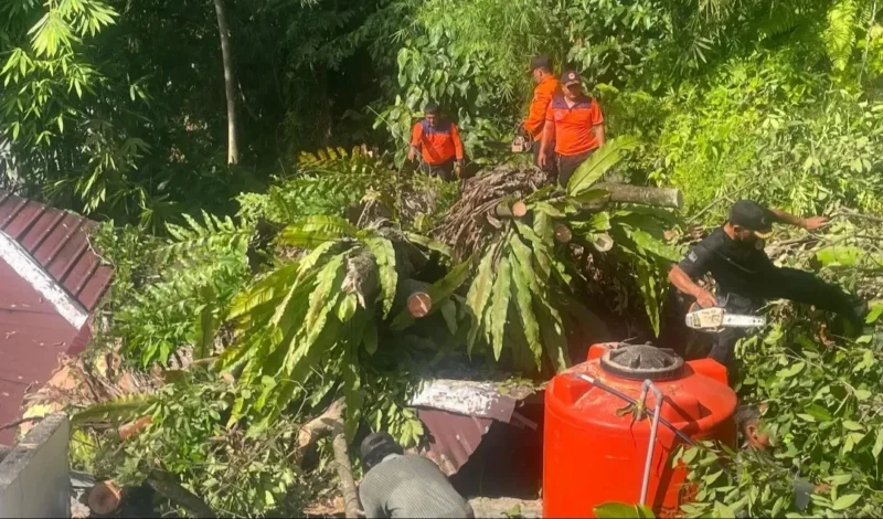 Personil TRC PB BPBD Padang membersihkan material pohon tumbang yang menimpa musala di Jalan Sutan Syahrir, Kelurahan Mata Air, Kecamatan Padang Selatan, Kota Padang, Kamis (21/5/2026). (Foto: BPBD Padang)