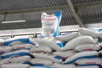 Presiden Prabowo Subianto menurunkan harga pupuk bersubsidi sebesar 20 persen untuk menjaga produksi pangan nasional. (Foto: Kementan)