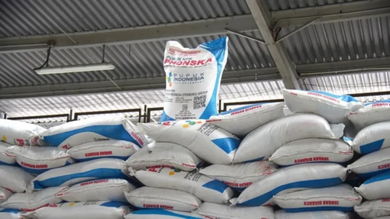 Presiden Prabowo Subianto menurunkan harga pupuk bersubsidi sebesar 20 persen untuk menjaga produksi pangan nasional. (Foto: Kementan)