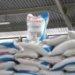Presiden Prabowo Subianto menurunkan harga pupuk bersubsidi sebesar 20 persen untuk menjaga produksi pangan nasional. (Foto: Kementan)