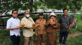 Riki Ekoni Saputra masuk nominasi Kalpataru Nasional 2026 usai memulihkan lahan bekas tambang di Sawahlunto. (Foto: Diskominfo Sawahlunto)