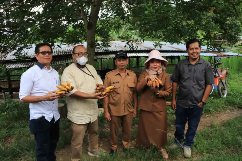 Riki Ekoni Saputra masuk nominasi Kalpataru Nasional 2026 usai memulihkan lahan bekas tambang di Sawahlunto. (Foto: Diskominfo Sawahlunto)