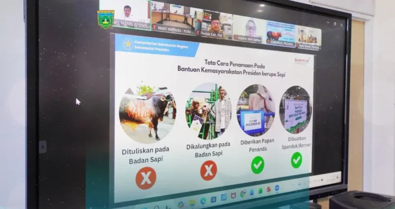 Pemko Padang Panjang menerima bantuan kemasyarakatan Presiden RI berupa satu ekor sapi kurban untuk Hari Raya Iduladha 1447 Hijriah. (Foto: Kominfo Padang Panjang)