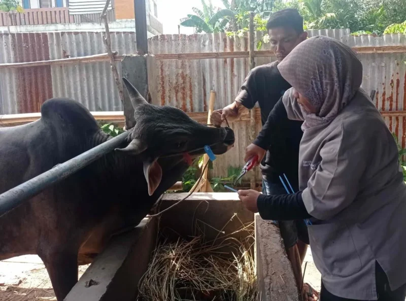 Pemko Padang kembali gunakan sistem barcode untuk distribusi daging kurban ASN. (Foto: FB Diskominfo Padang)