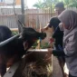 Pemko Padang kembali gunakan sistem barcode untuk distribusi daging kurban ASN. (Foto: FB Diskominfo Padang)