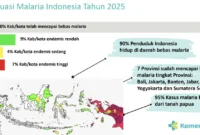 Situasi Malaria Indonesia Tahun 2025. (Foto: Kemenkes)