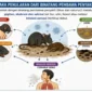 Kemenkes RI terus meningkatkan kewaspadaan terhadap penyakit virus Hanta. (Foto: Kemenkes)