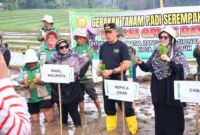 Wakil Wali Kota Payakumbuh Elzadaswarman melakukan gerakan tanam padi serentak di persawahan Gadih Angik, Kelurahan Kapalo Koto Ampangan, Kecamatan Payakumbuh Selatan, Jumat (22/5/2026). (Foto: MC Payakumbuh)