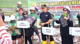 Wakil Wali Kota Payakumbuh Elzadaswarman melakukan gerakan tanam padi serentak di persawahan Gadih Angik, Kelurahan Kapalo Koto Ampangan, Kecamatan Payakumbuh Selatan, Jumat (22/5/2026). (Foto: MC Payakumbuh)