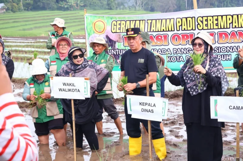 Wakil Wali Kota Payakumbuh Elzadaswarman melakukan gerakan tanam padi serentak di persawahan Gadih Angik, Kelurahan Kapalo Koto Ampangan, Kecamatan Payakumbuh Selatan, Jumat (22/5/2026). (Foto: MC Payakumbuh)