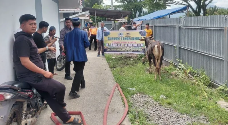Warga Huntara Lubuk Buaya Padang menerima bantuan tiga sapi kurban. (Foto: Diskominfo Padang)