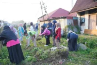 Ratusan peserta dari berbagai unsur mengikuti korve dan aksi pilah sampah dalam rangka memperingati Hari Lingkungan Hidup Sedunia 2026, Sabtu (6/6/2026). (Foto: Diskominfo Padang Panjang)