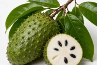 Ilustrasi buah sirsak. (Foto: AI Generate)