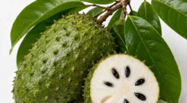 Ilustrasi buah sirsak. (Foto: AI Generate)