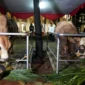 Kemenag mencatat jumlah hewan kurban pada Iduladha 1447 H mencapai 2.032.753 ekor. (Foto: Kemenag)