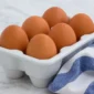 Ilustrasi telur. (Foto: Pexels)