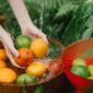 Ilustrasi mencuci buah. (Foto: Pexels)
