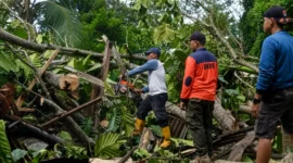 TRC BPBD Padang melakukan pembersihan pohon tumbang yang menimpa rumah warga di RT 02 RW 01, Kelurahan Bukit Gado-Gado, Kecamatan Padang Selatan, Kota Padang, Kamis (18/6/2026). (Foto: BPBD Padang)