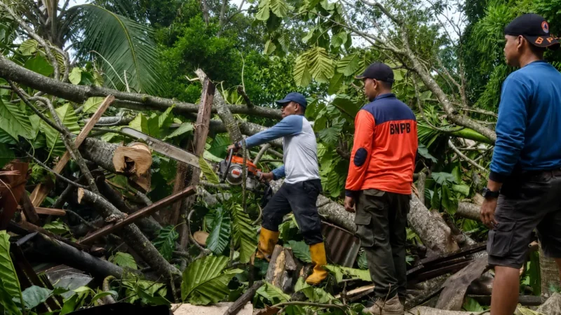 TRC BPBD Padang melakukan pembersihan pohon tumbang yang menimpa rumah warga di RT 02 RW 01, Kelurahan Bukit Gado-Gado, Kecamatan Padang Selatan, Kota Padang, Kamis (18/6/2026). (Foto: BPBD Padang)