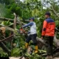 TRC BPBD Padang melakukan pembersihan pohon tumbang yang menimpa rumah warga di RT 02 RW 01, Kelurahan Bukit Gado-Gado, Kecamatan Padang Selatan, Kota Padang, Kamis (18/6/2026). (Foto: BPBD Padang)