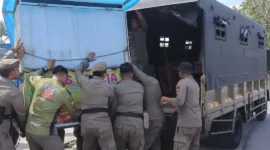 Petugas Satpol PP Padang mengamankan lapak PKL yang berjualan di atas fasum di wilayah Kecamatan Koto Tangah, Kota Padang, Rabu (3/6/2026) siang. (Foto: Humas Satpol PP Padang)