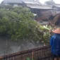 Sebuah pohon mahoni tumbang menimpa warung di Jalan Pertanian, Lubuk Minturun, Kecamatan Koto Tangah, Kota Padang, Minggu (14/6/2026) sekitar pukul 14.26 WIB. (Foto: BPBD Padang)