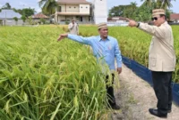 Presiden Prabowo melakukan peninjauan saat Puncak PENAS Petani dan Nelayan XVII 2026 di Kabupaten Gorontalo, Rabu (24/6/2026). (Foto: BPMI Setpres)