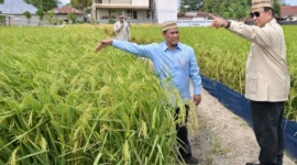Presiden Prabowo melakukan peninjauan saat Puncak PENAS Petani dan Nelayan XVII 2026 di Kabupaten Gorontalo, Rabu (24/6/2026). (Foto: BPMI Setpres)