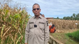 Sekretaris Dinas Pertanian Kota Padang, Ansoriudin. (Foto: Pemko Padang)