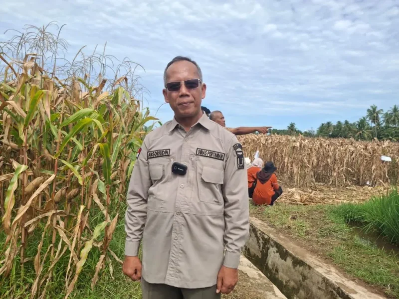 Sekretaris Dinas Pertanian Kota Padang, Ansoriudin. (Foto: Pemko Padang)