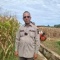 Sekretaris Dinas Pertanian Kota Padang, Ansoriudin. (Foto: Pemko Padang)