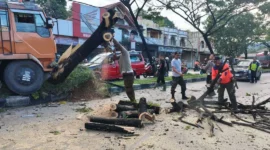 TRC BPBD Padang membersihkan material pohon tumbang di Jalan Raya Padang-Solok, Kelurahan Bandar Buat, Kecamatan Lubuk Kilangan, Kamis (11/6/2026). (Foto: Pusdalops BPBD Padang)
