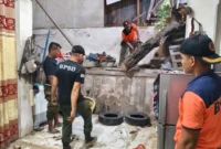 TRC BPBD Padang mengevakuasi pohon tumbang yang menimpa rumah warga di Bukit Putus 01 RW 011, Kelurahan Pampangan, Kecamatan Lubuk Begalung, Senin (22/6/2026). (Foto: BPBD Padang)