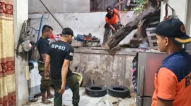 TRC BPBD Padang mengevakuasi pohon tumbang yang menimpa rumah warga di Bukit Putus 01 RW 011, Kelurahan Pampangan, Kecamatan Lubuk Begalung, Senin (22/6/2026). (Foto: BPBD Padang)