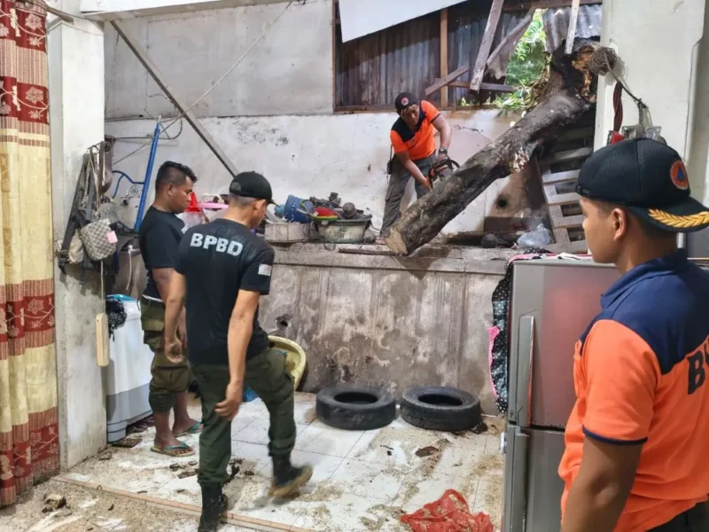 TRC BPBD Padang mengevakuasi pohon tumbang yang menimpa rumah warga di Bukit Putus 01 RW 011, Kelurahan Pampangan, Kecamatan Lubuk Begalung, Senin (22/6/2026). (Foto: BPBD Padang)