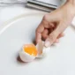 Ilustrasi telur. (Foto: Pexels)